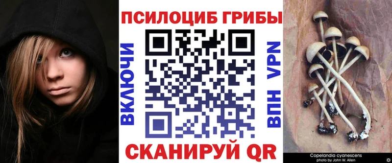 Галлюциногенные грибы прущие грибы Энем